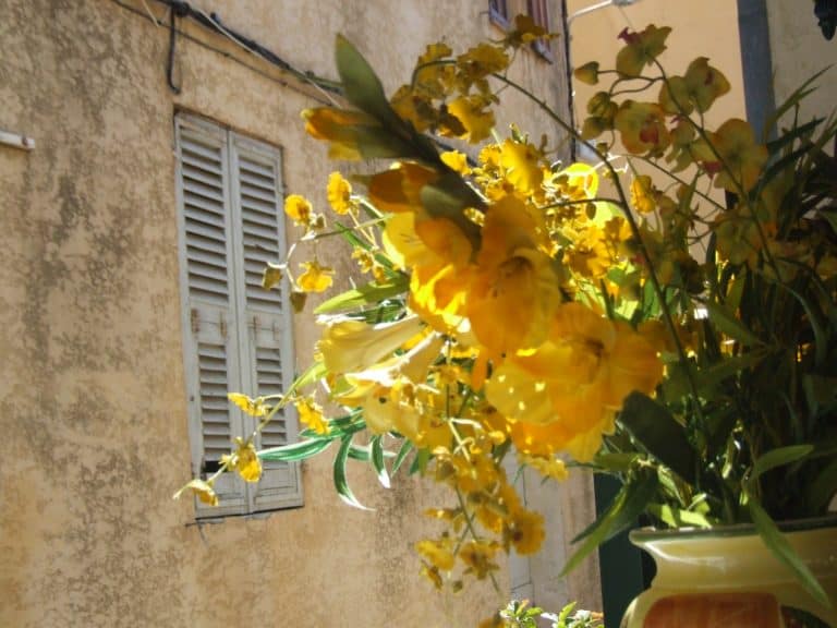 Calvi 100 (3) (コルシカ島)