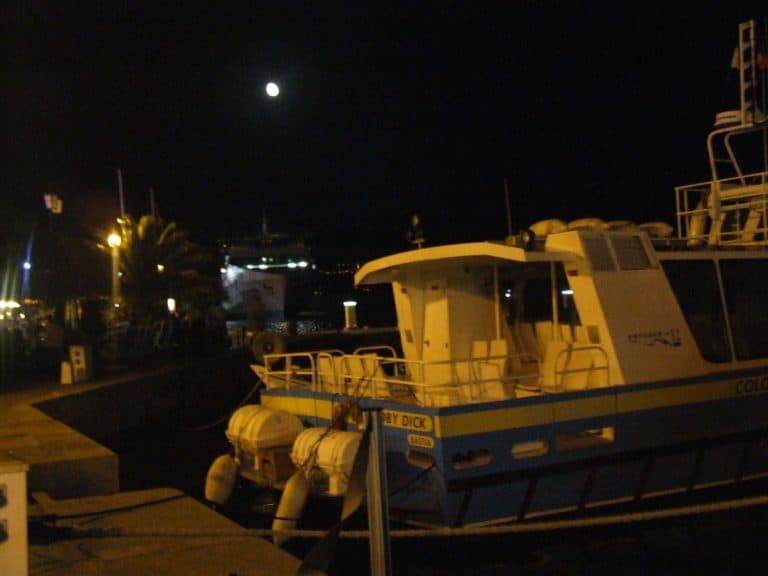 Calvi 100 (8) (コルシカ島)