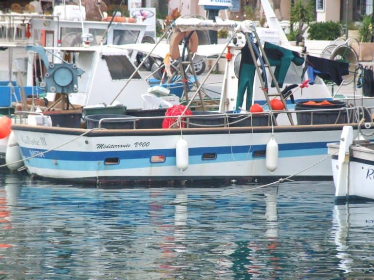 Calvi (2) (コルシカ島)