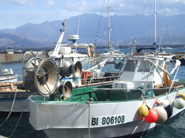 Calvi (22) (コルシカ島)