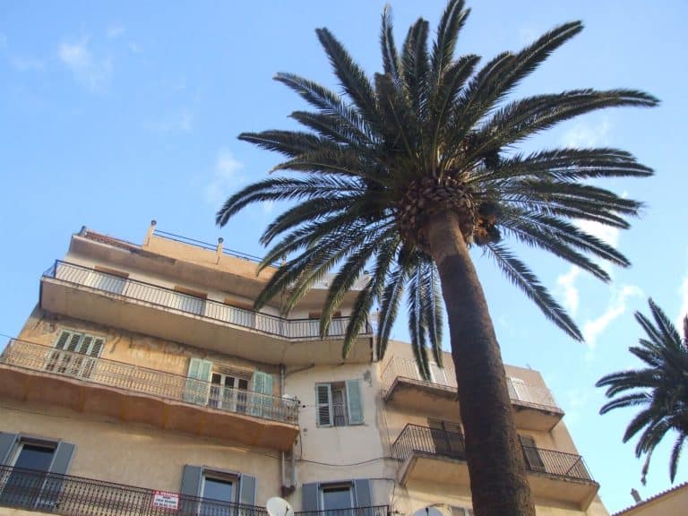 Calvi (24) (コルシカ島)