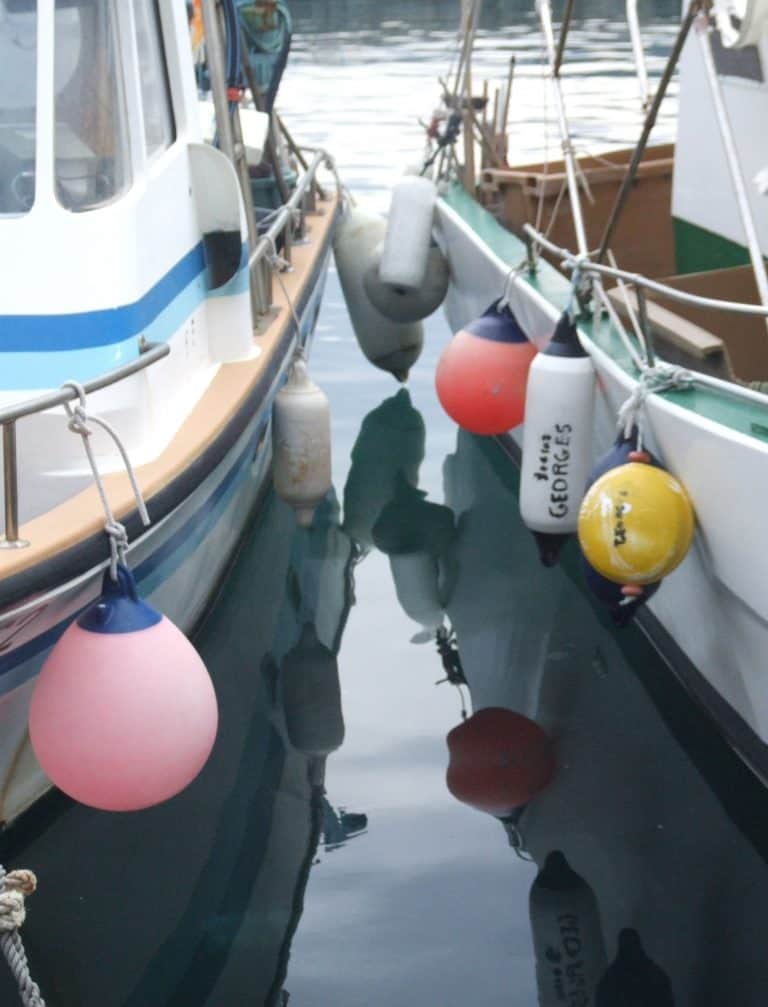 Calvi (28) (コルシカ島)