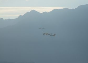 French Air Force training parachuting 