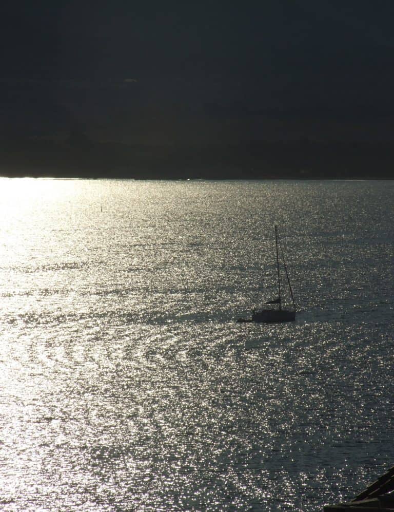 Calvi (37) (コルシカ島)