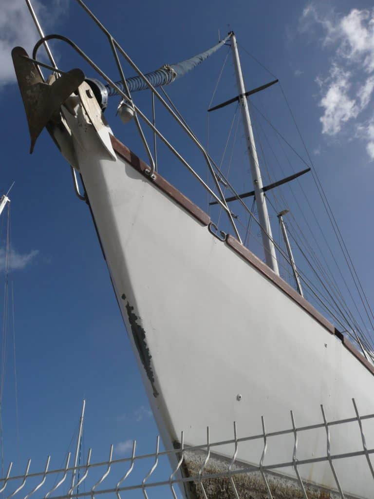 Calvi (49) (コルシカ島)