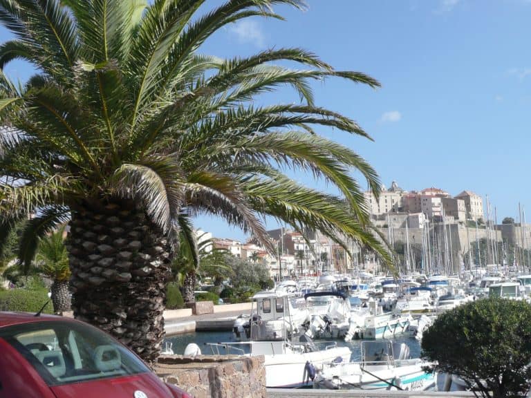 Calvi (50) (コルシカ島)