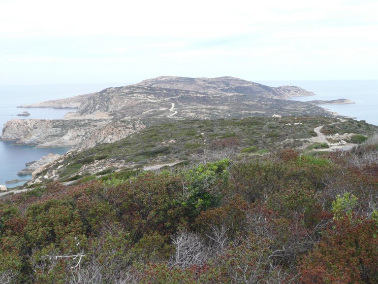 Calvi walking (11) (コルシカ島)