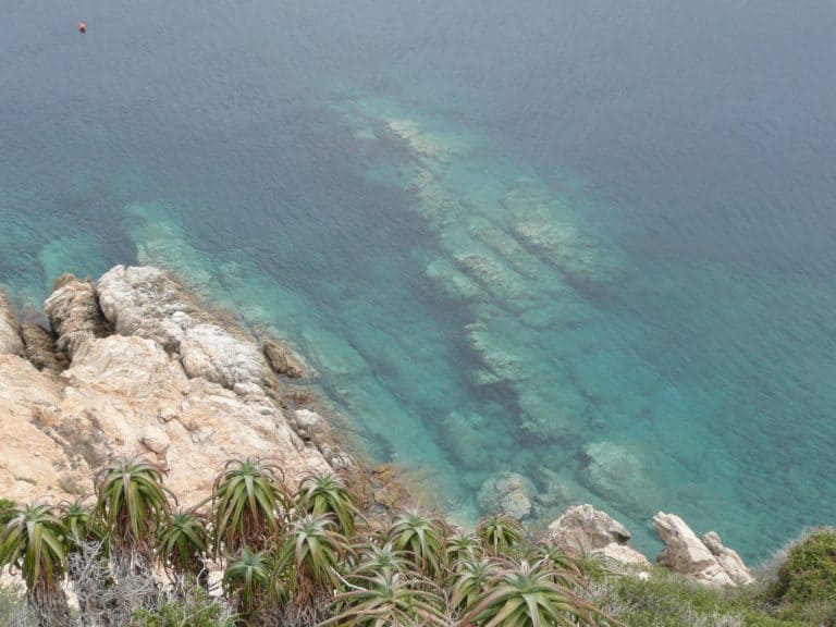 Calvi walking (14) (コルシカ島)