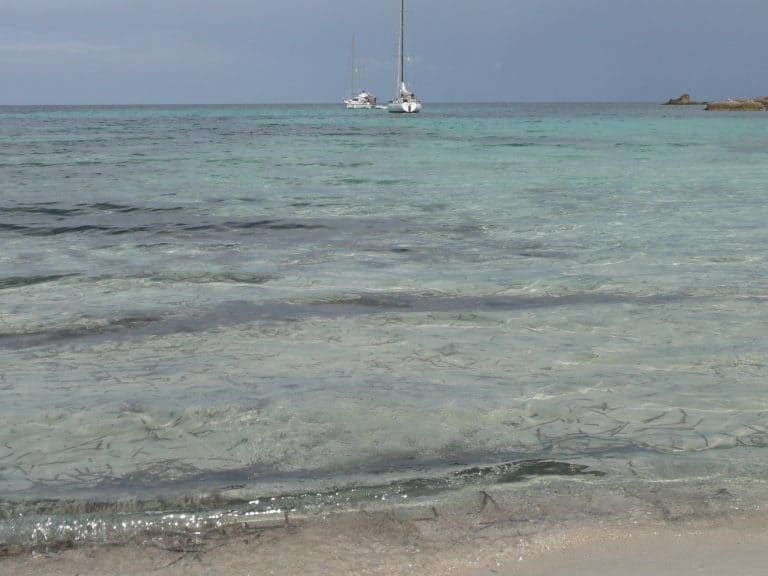 descanso-en-la-playa-Calvi-Córcega-Francia