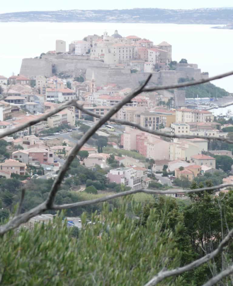 Calvi walking (19) (コルシカ島)