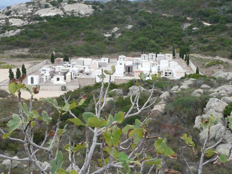 Calvi walking (9) (コルシカ島)