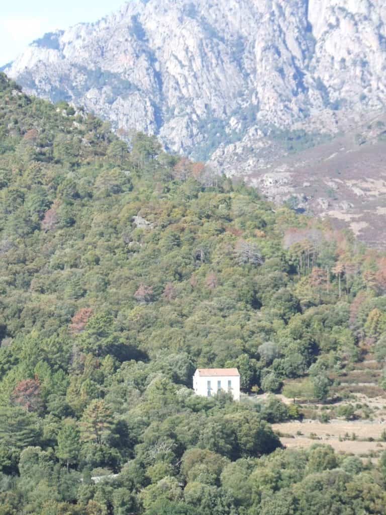 Corte (30) (コルシカ島)