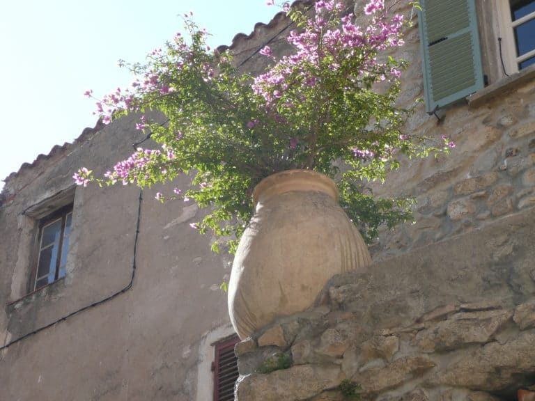 La Balagne (17) (コルシカ島)