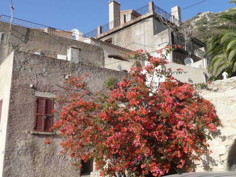 La Balagne (20) (コルシカ島)