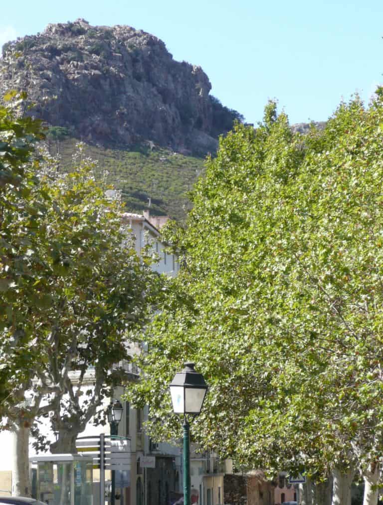 La Balagne – taxi (4) (コルシカ島)