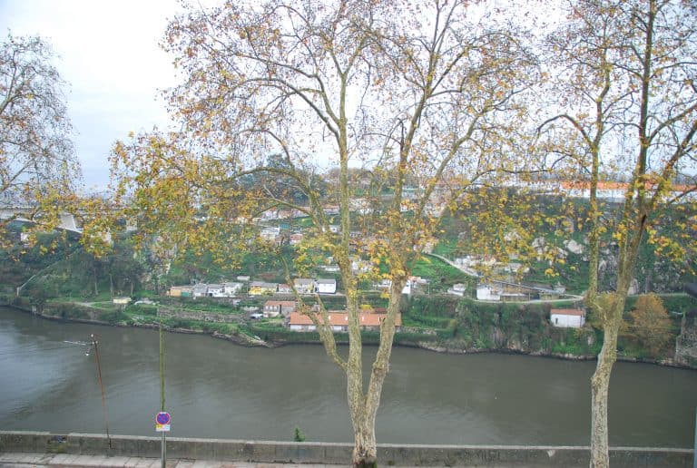 Oporto (135) (Porto)