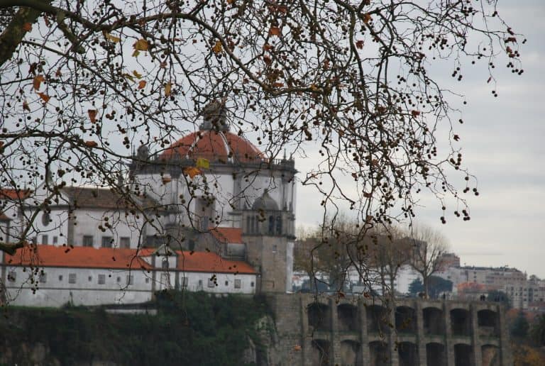 Oporto (137) (Porto)