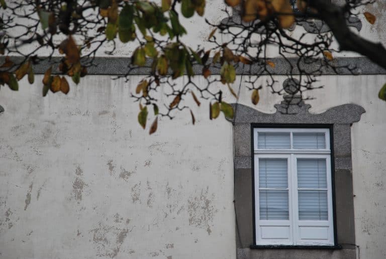 Oporto (141) (Porto)