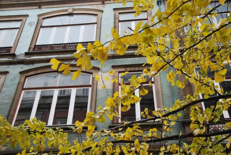 Oporto (21) (Porto)