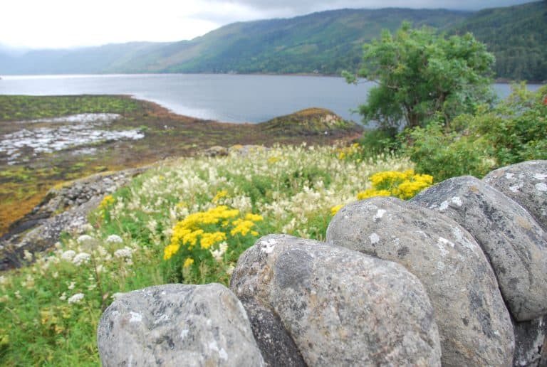 Highlands (139) (Highlands)