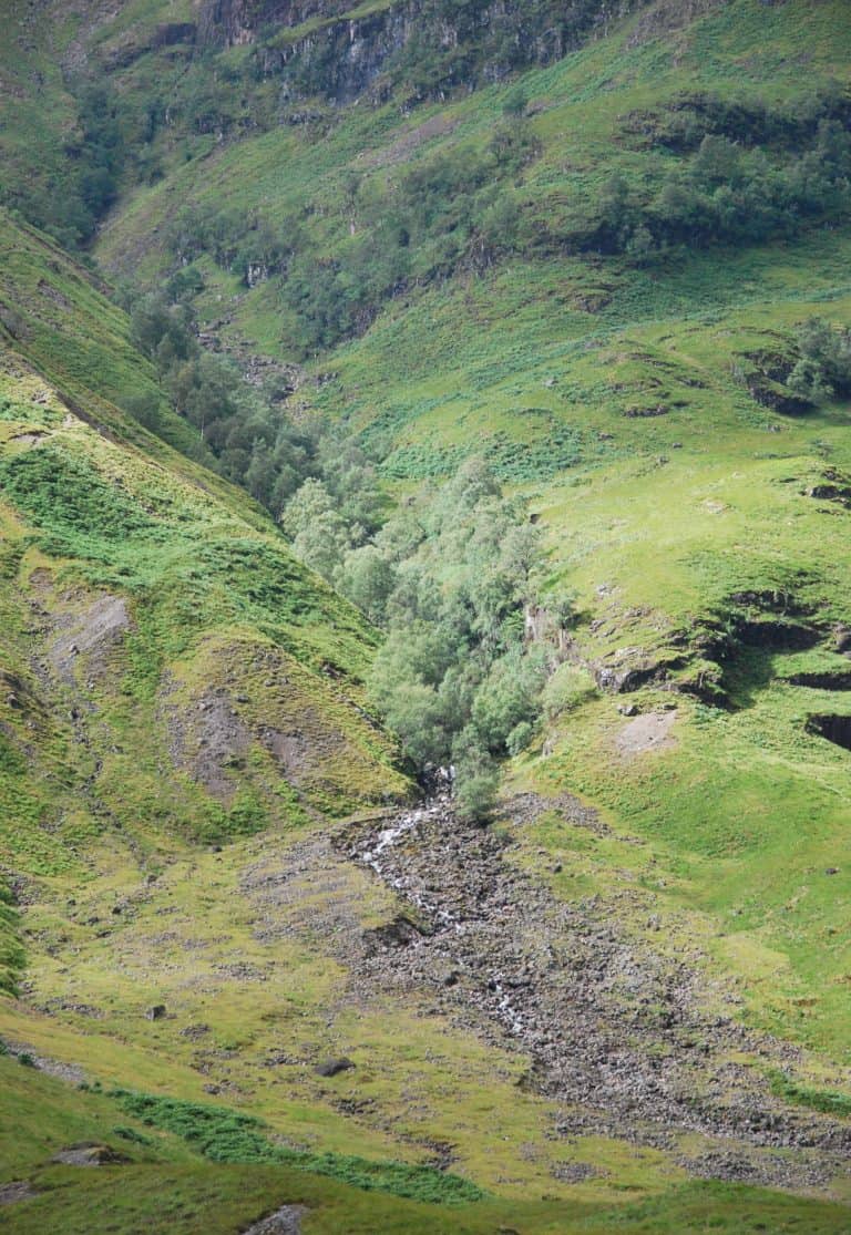 Highlands (147) (ハイランド)