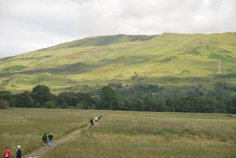 Highlands (29) (Tierras Altas de Escocia)