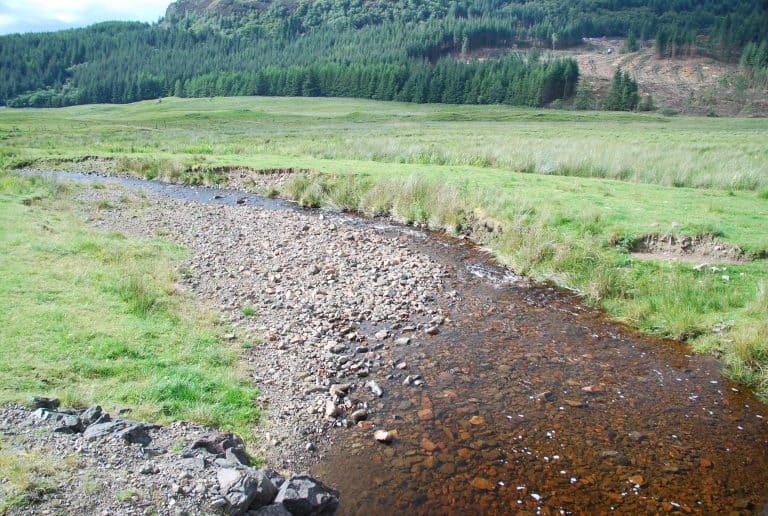 Highlands (51) (Highlands)