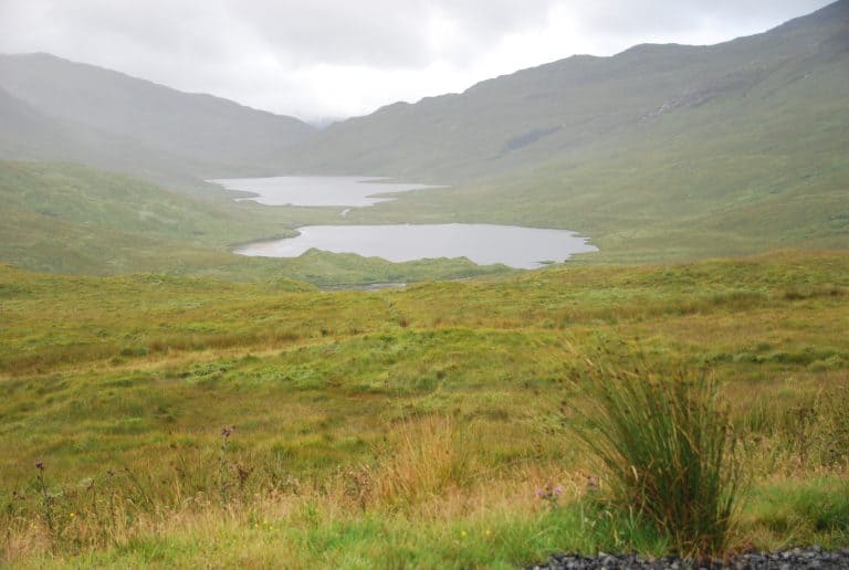 Highlands (65) (ハイランド)