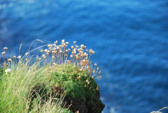 六角形の石柱でできたスタッファ島