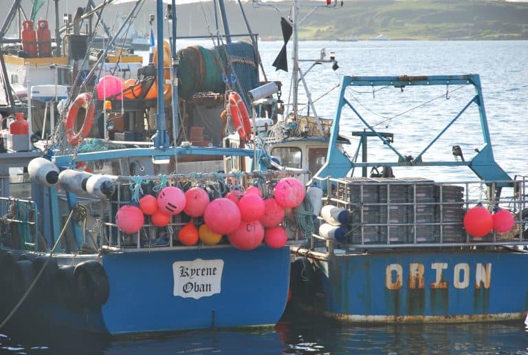 Oban (21) (Highlands)