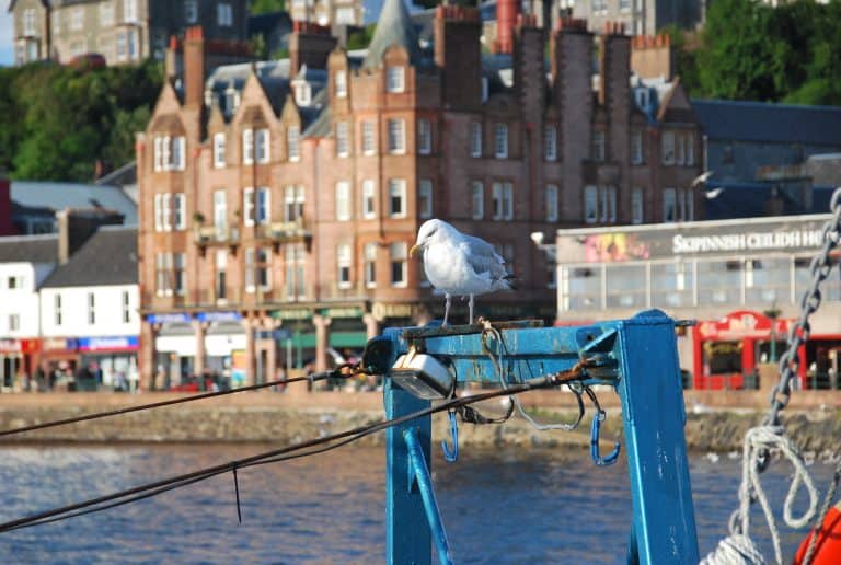 Oban (22) (ハイランド)