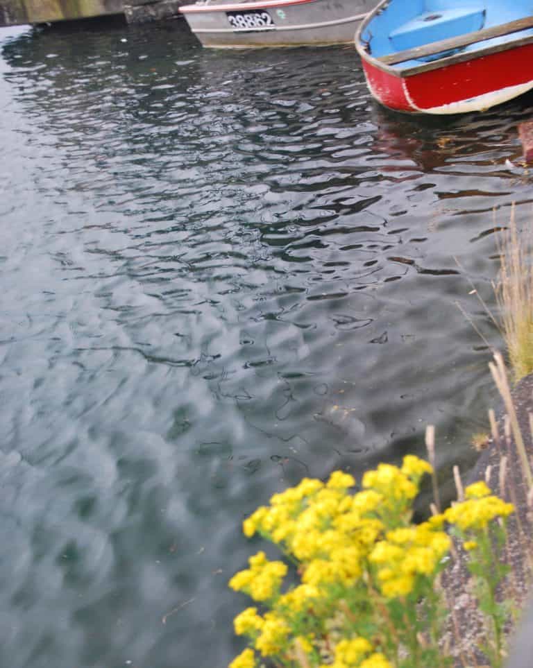 Portree (10) (ハイランド)