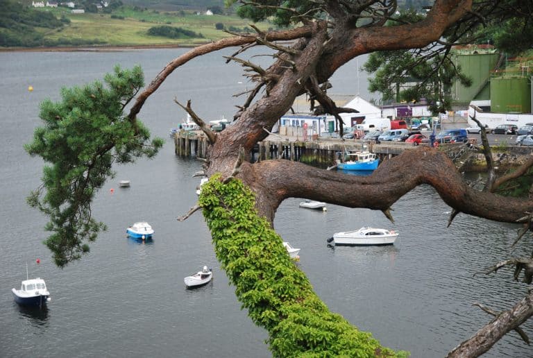 Portree (17) (Highlands)
