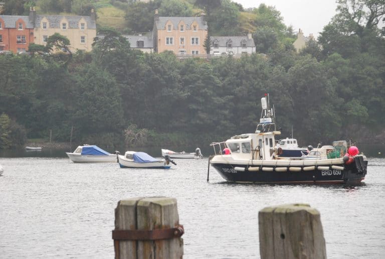 Portree (7) (ハイランド)