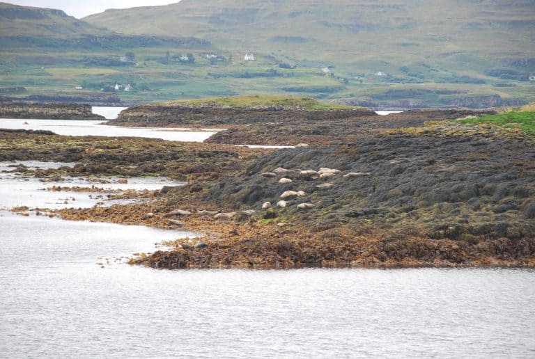 Skye (25) (Highlands)