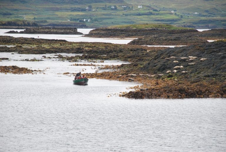 Skye (26) (Highlands)