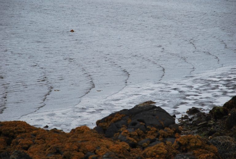 Skye (27) (Highlands)