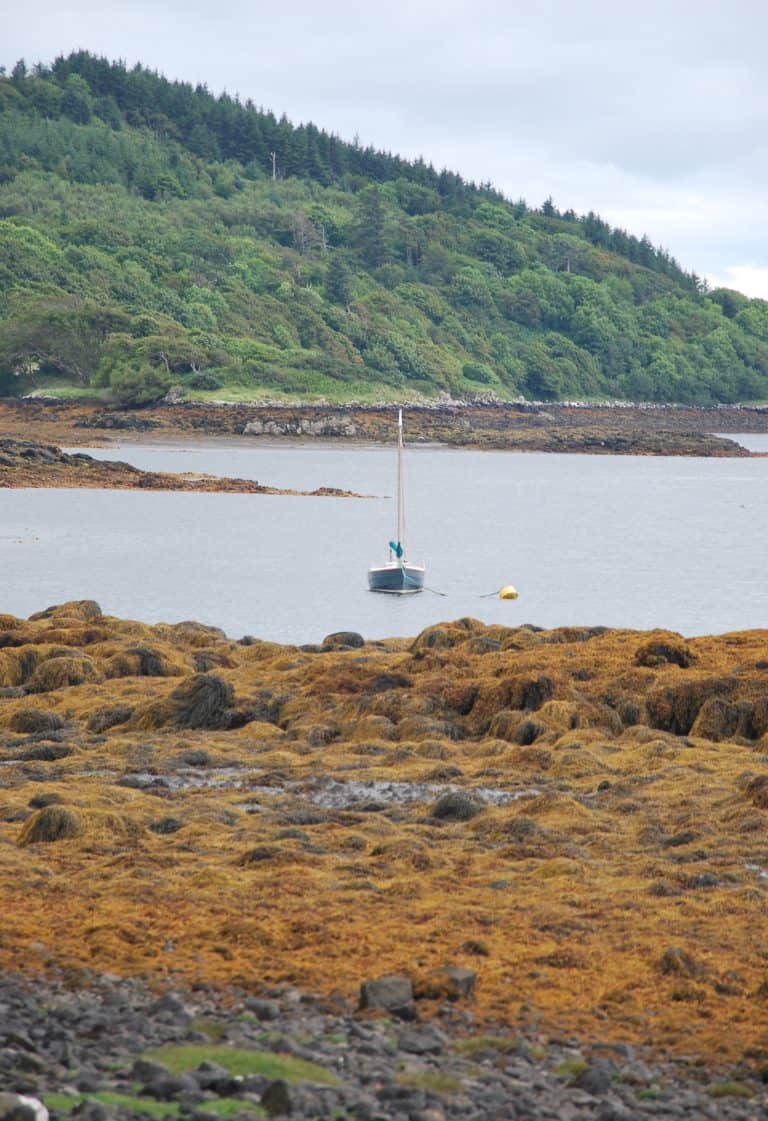Skye (42) (Highlands)