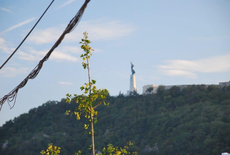 Budapest (29) (Budapest)