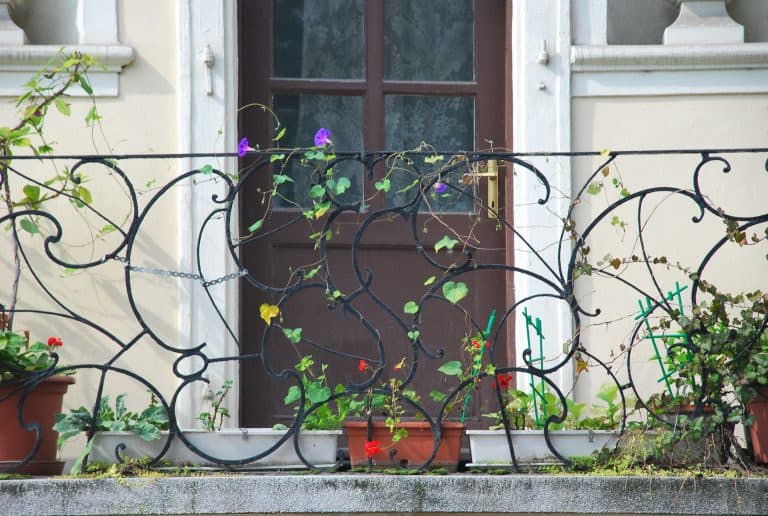 Budapest (50) (Budapest)