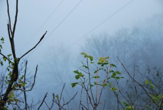 thick fog in San Marino