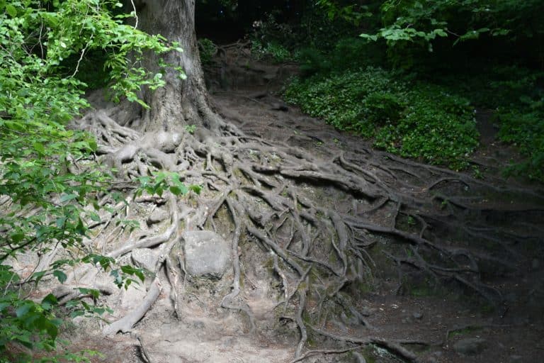 Edinburgh-Cramond (18)