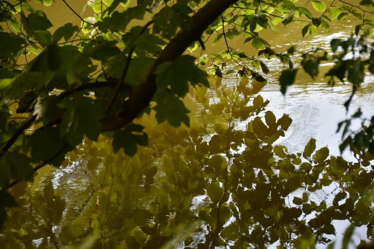 Edinburgh-Cramond (19)