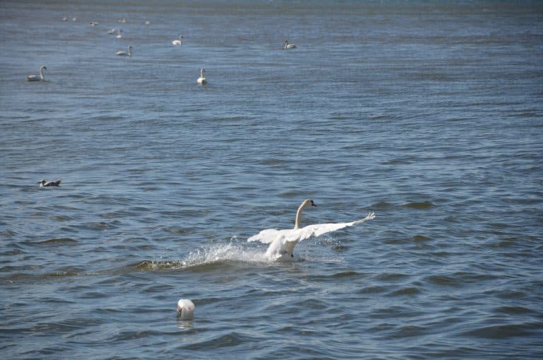 Edinburgh-Cramond (6)