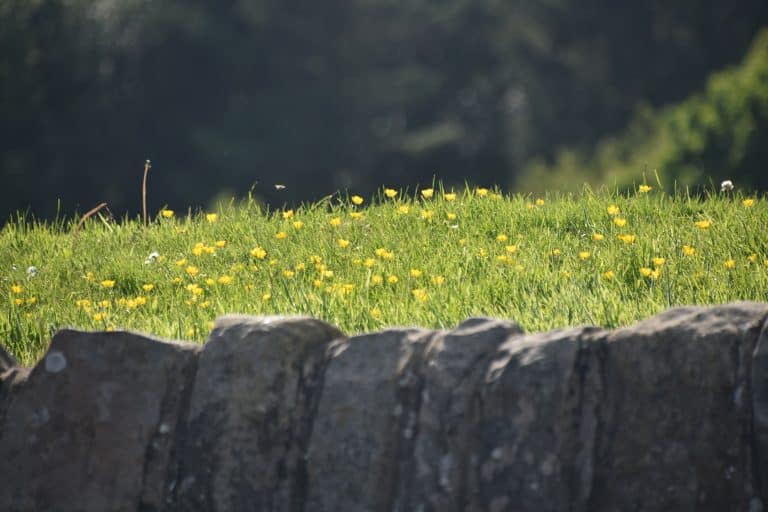 Edinburgh-Cramond (9)