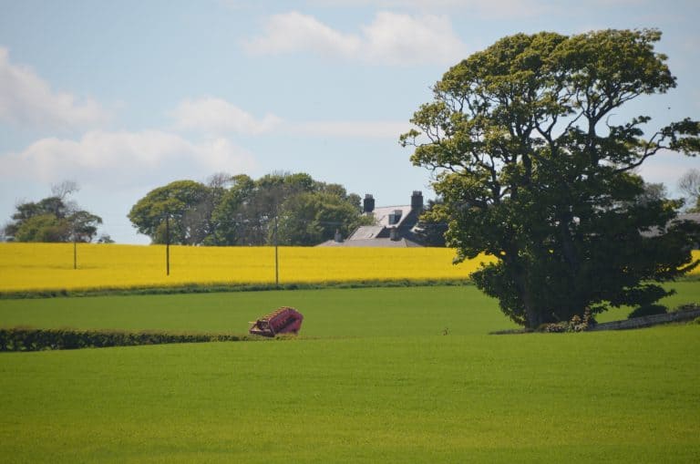 Stonehaven and vicinity (20) (ストーンヘイブン)