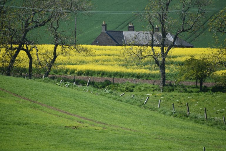 Stonehaven and vicinity (21) (ストーンヘイブン)