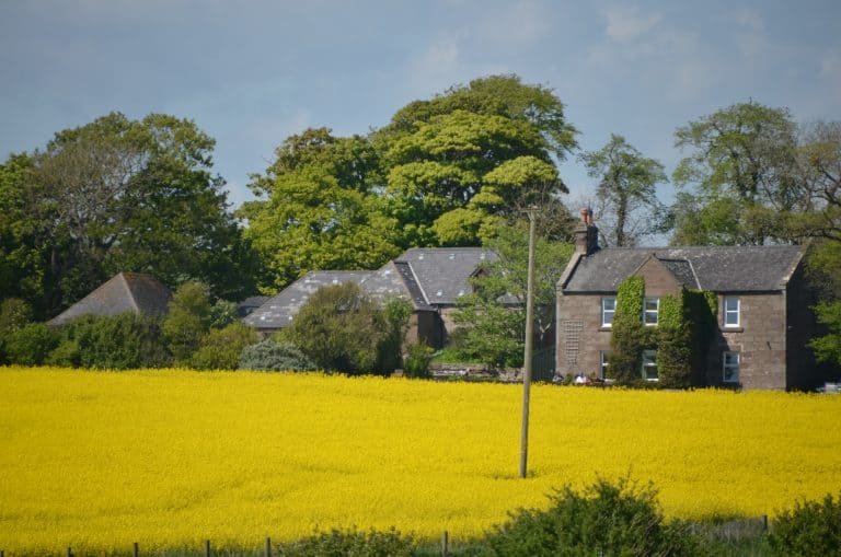 Stonehaven and vicinity (23) (Stonehaven)