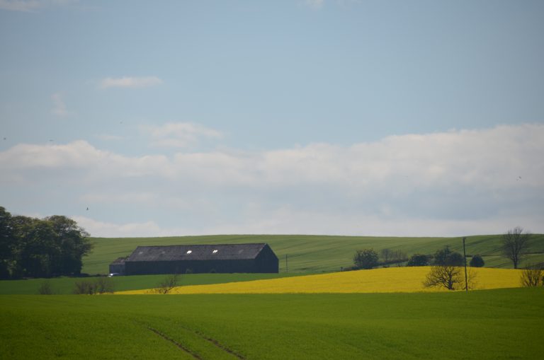 Stonehaven and vicinity (24) (ストーンヘイブン)