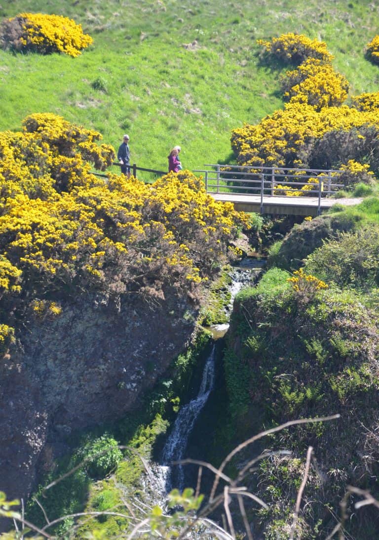 Stonehaven and vicinity (26) (Stonehaven)